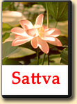 Sattva